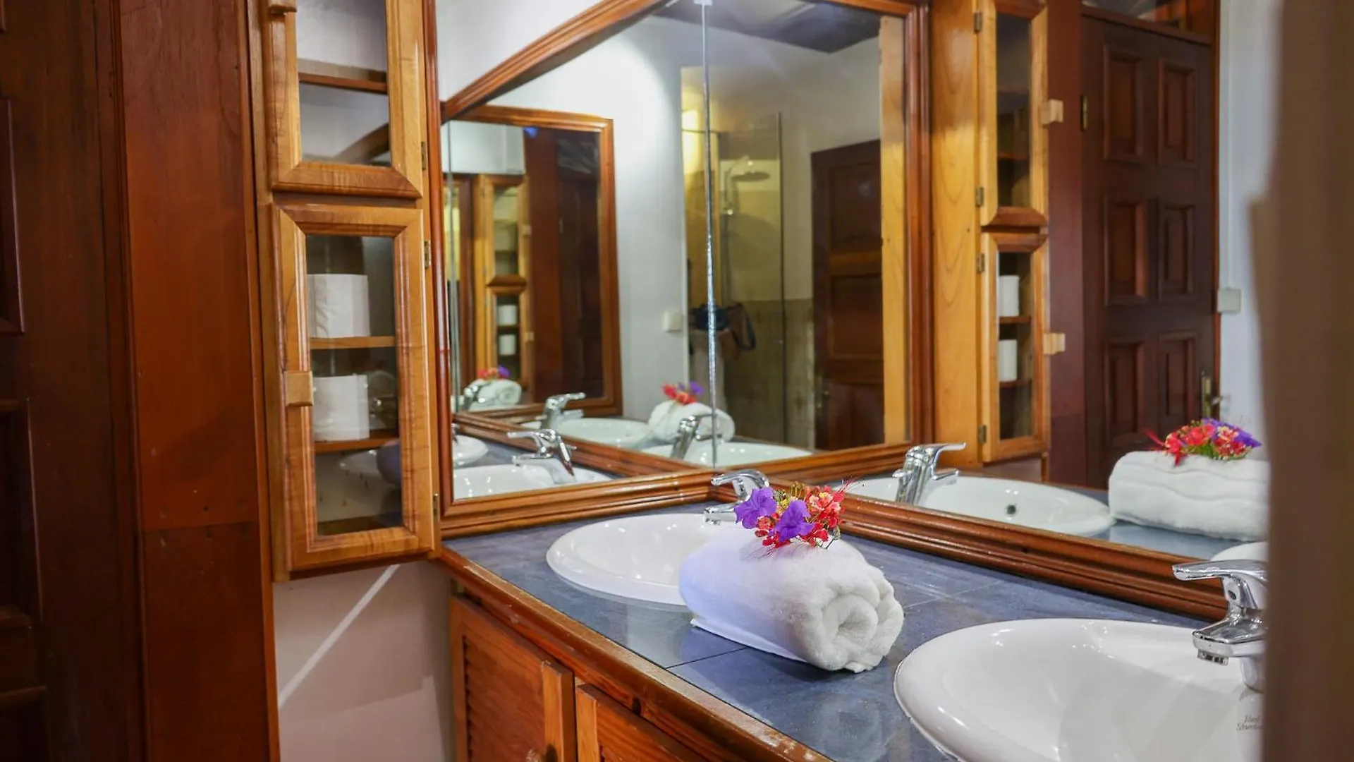 Villa Cafeiere, Bouillante, Vue Sur Mer, Proche Plage, Location Prestige Caraibes