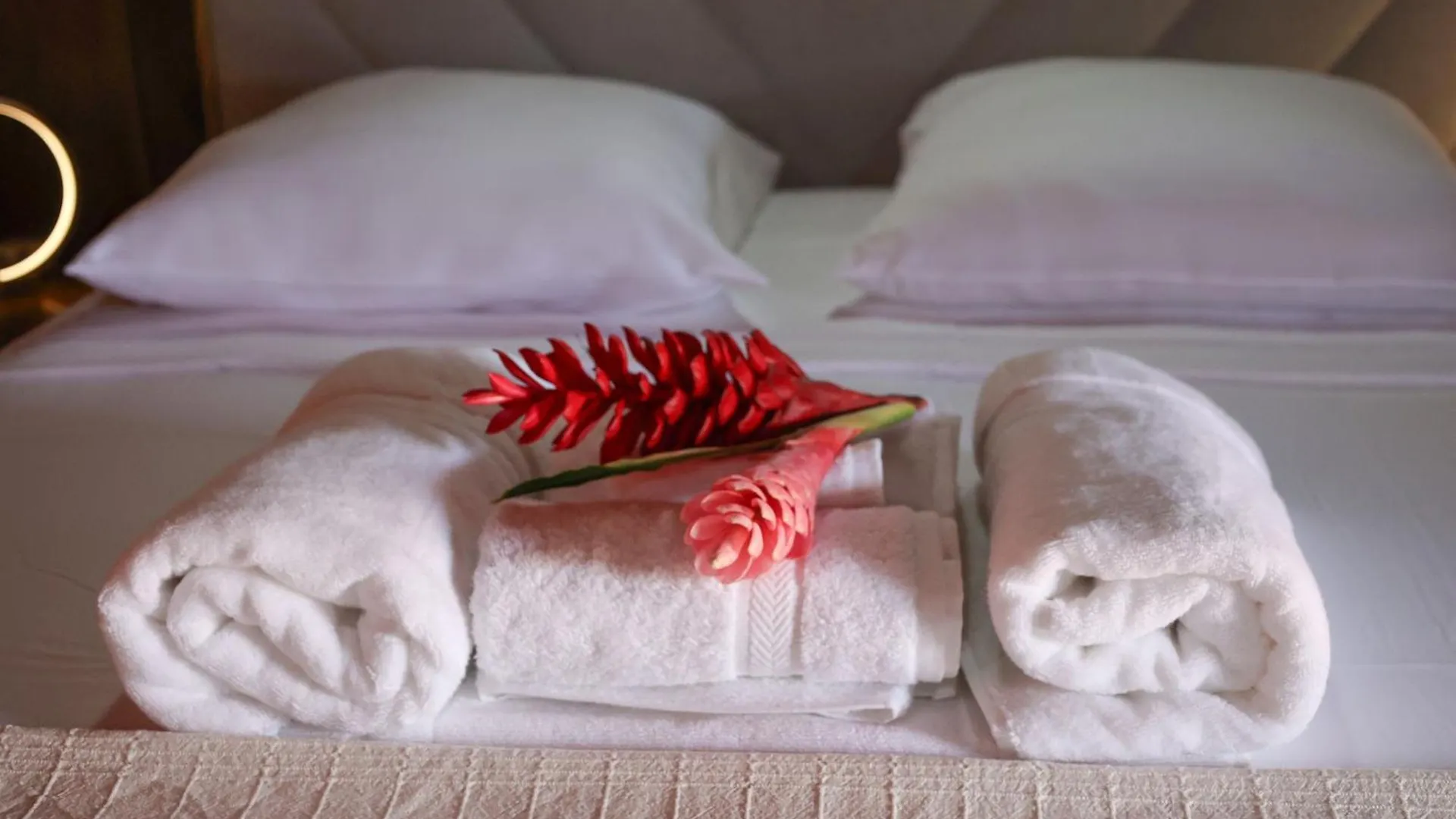 Villa Cafeiere, Bouillante, Vue Sur Mer, Proche Plage, Location Prestige Caraibes